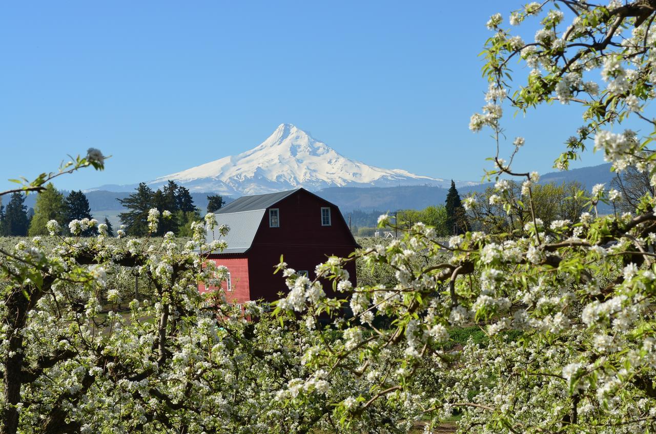 Old Parkdale Inn Bed And Breakfast Hood River Extérieur photo